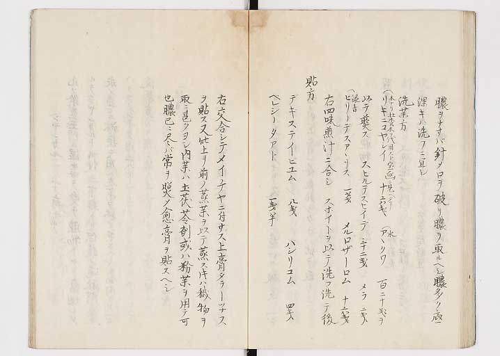 K0149s0036