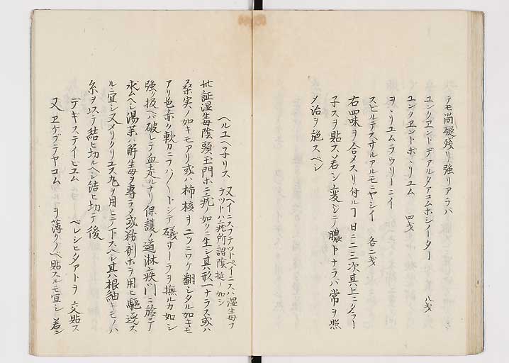 K0149s0039