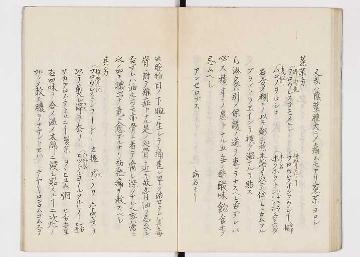 K0149s0043
