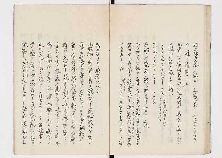 K0149s0044
