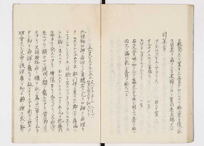 K0149s0045