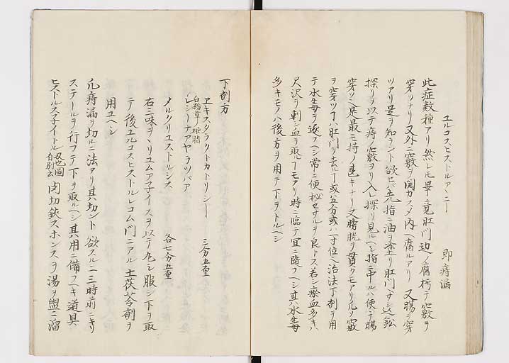 K0149s0049