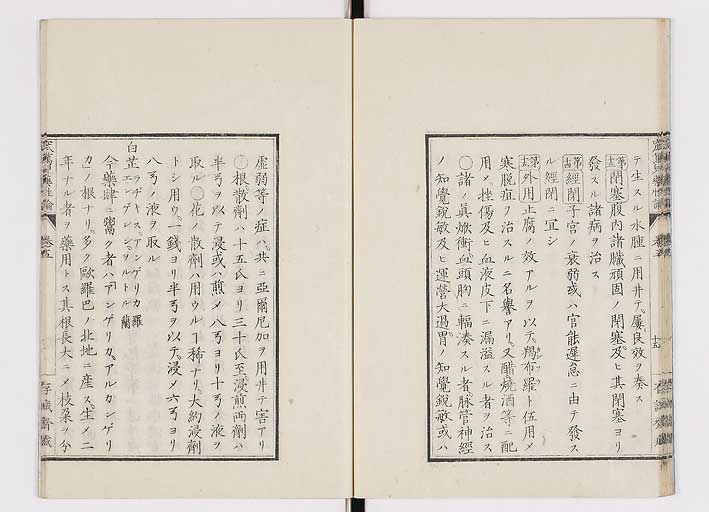 K0150s0206