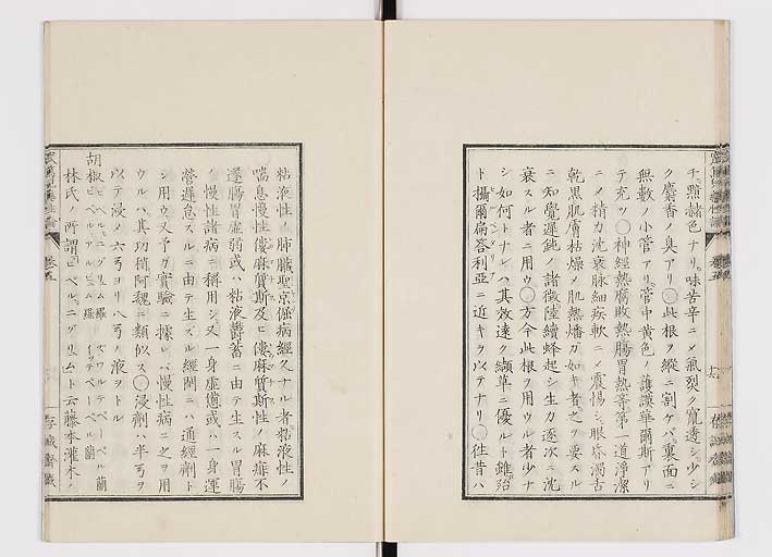 K0150s0207