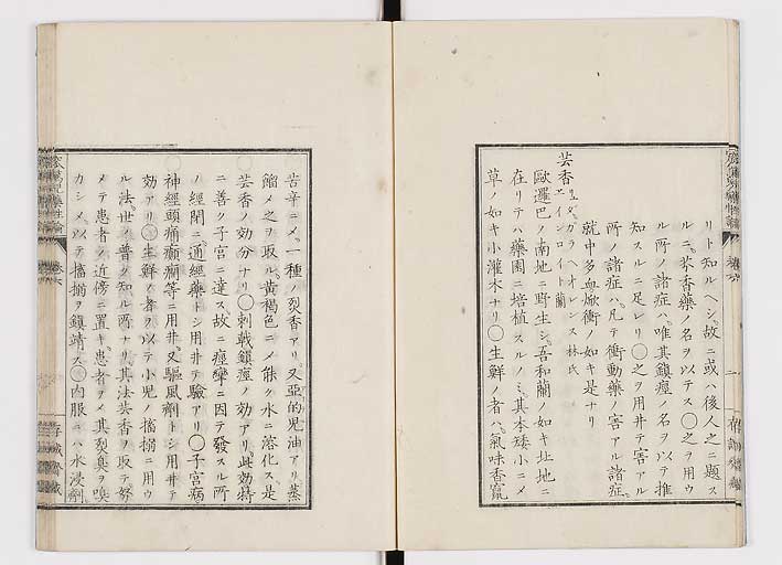 K0150s0224