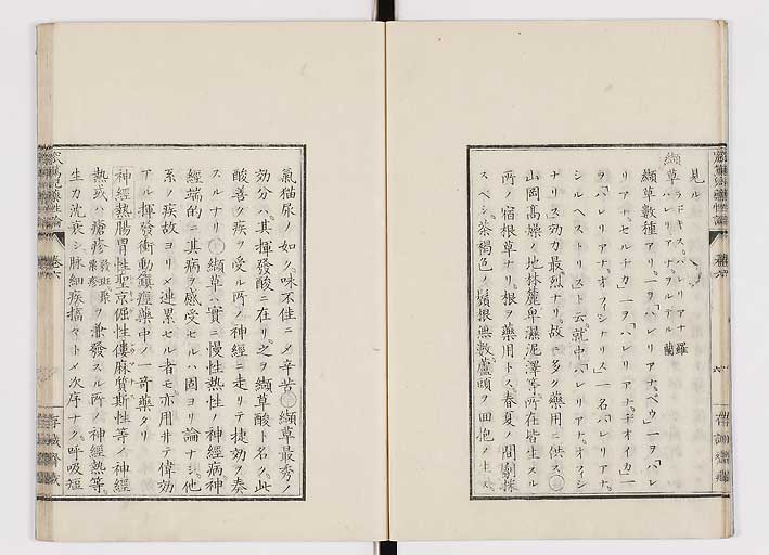 K0150s0228