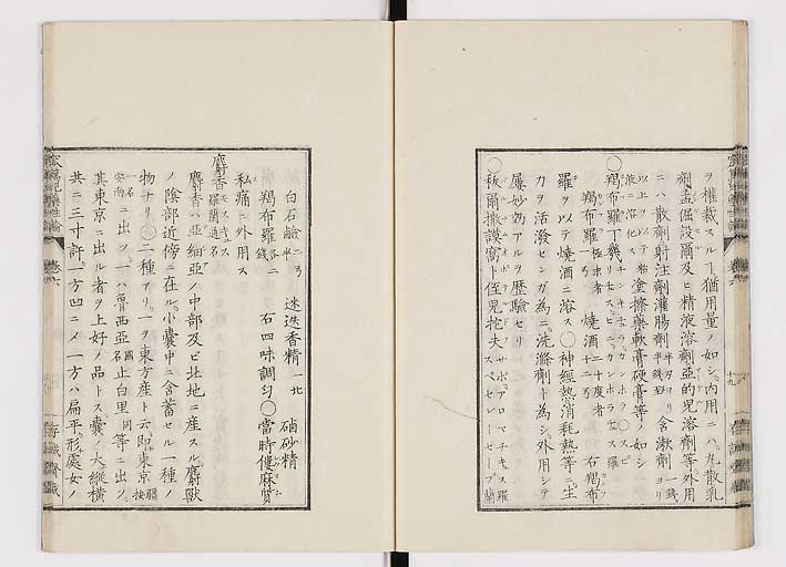 K0150s0242