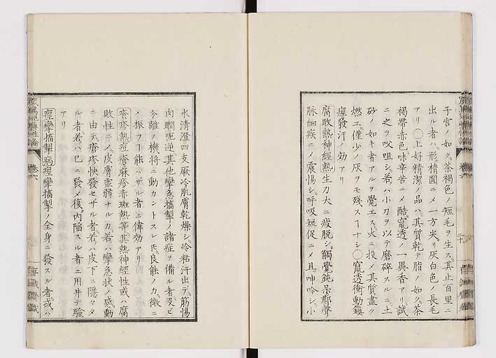 K0150s0243