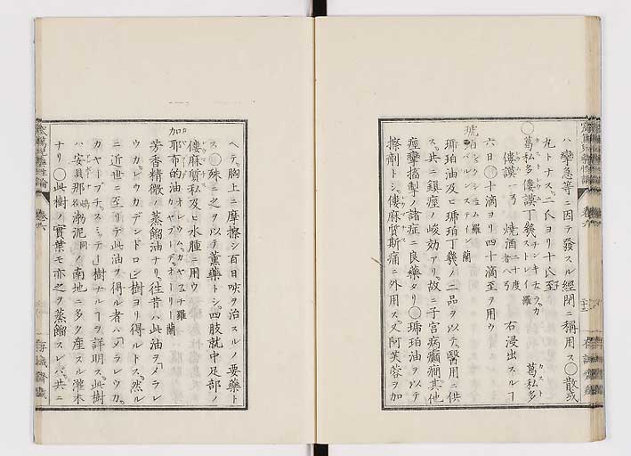 K0150s0246