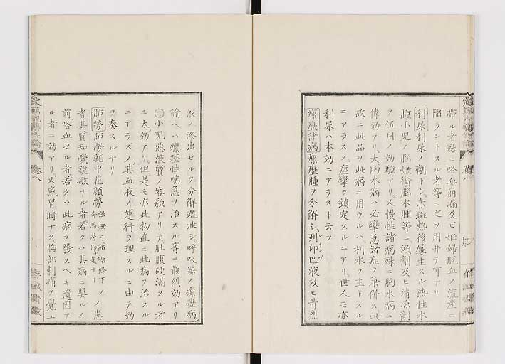 K0150s0317