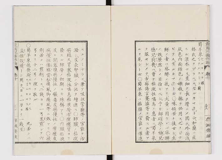 K0150s0430