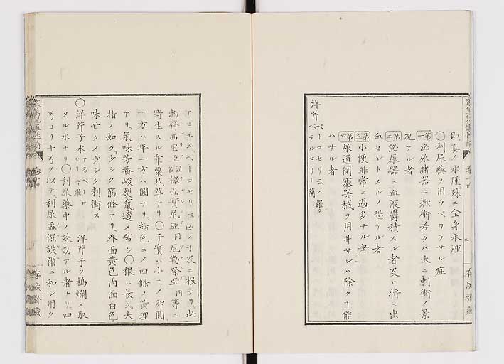 K0150s0542