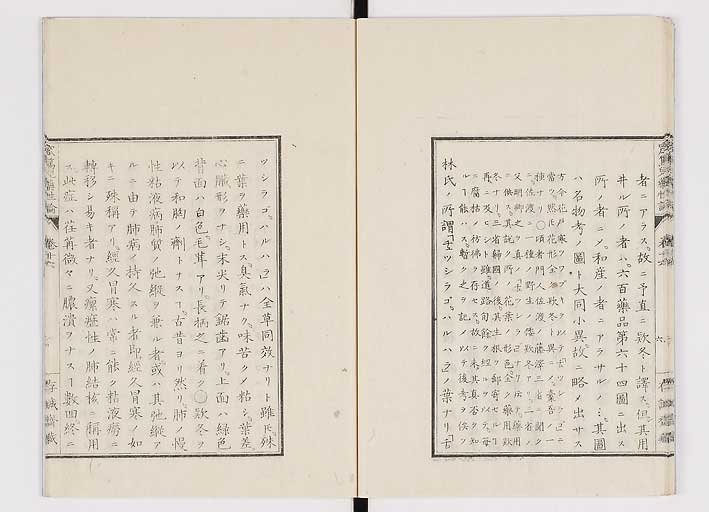 K0150s0597