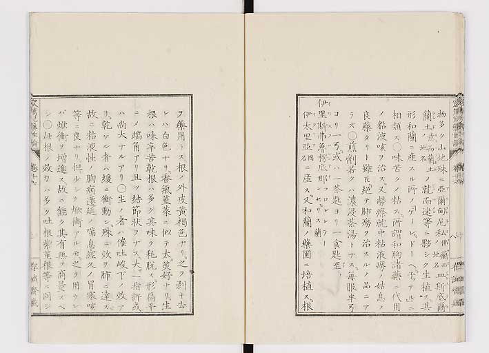 K0150s0599