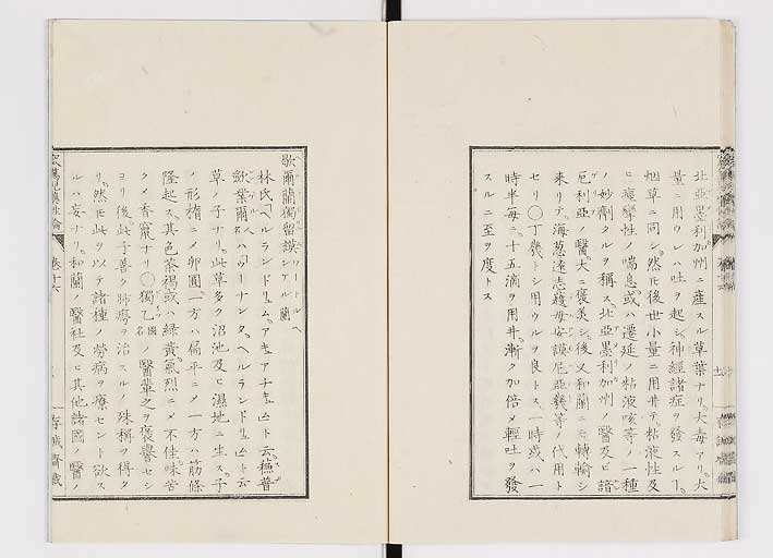 K0150s0602