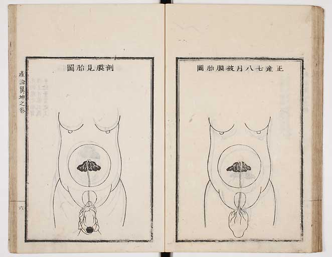 S0033s0049