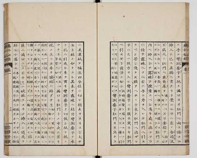 S0056s0017