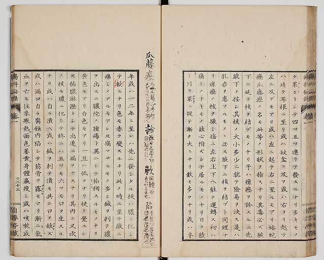 S0056s0034