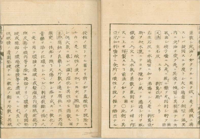 ensei iho meibutsuko v.10