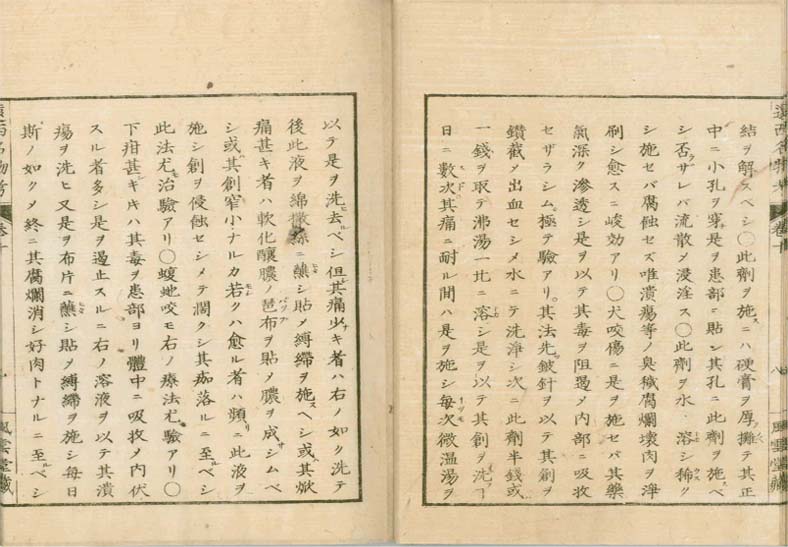 ensei iho meibutsuko v.10