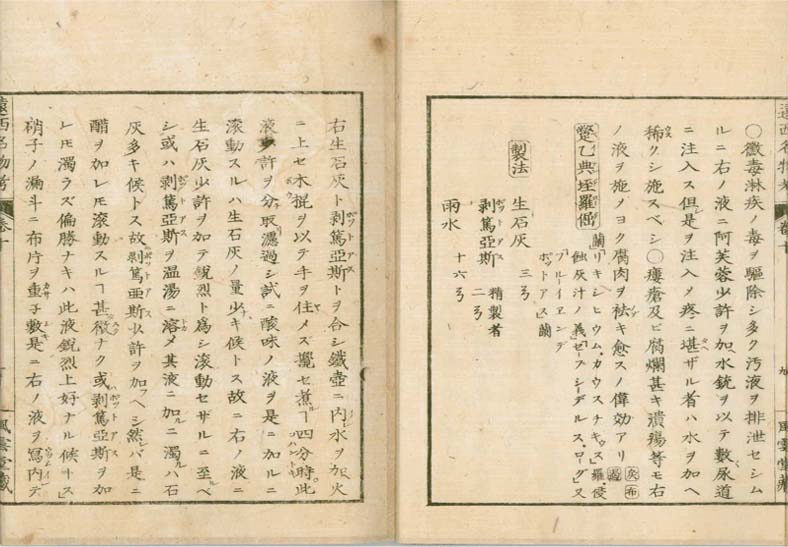 ensei iho meibutsuko v.10