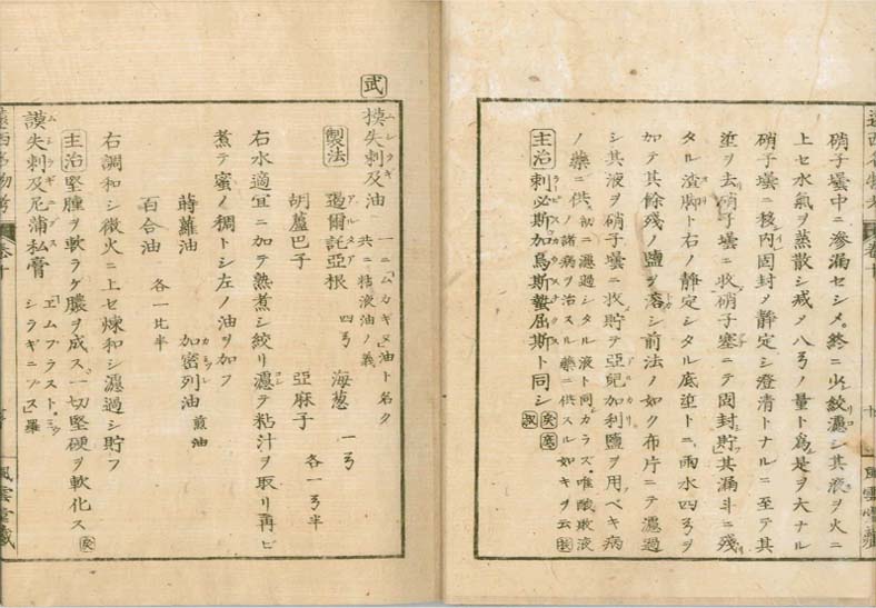 ensei iho meibutsuko v.10