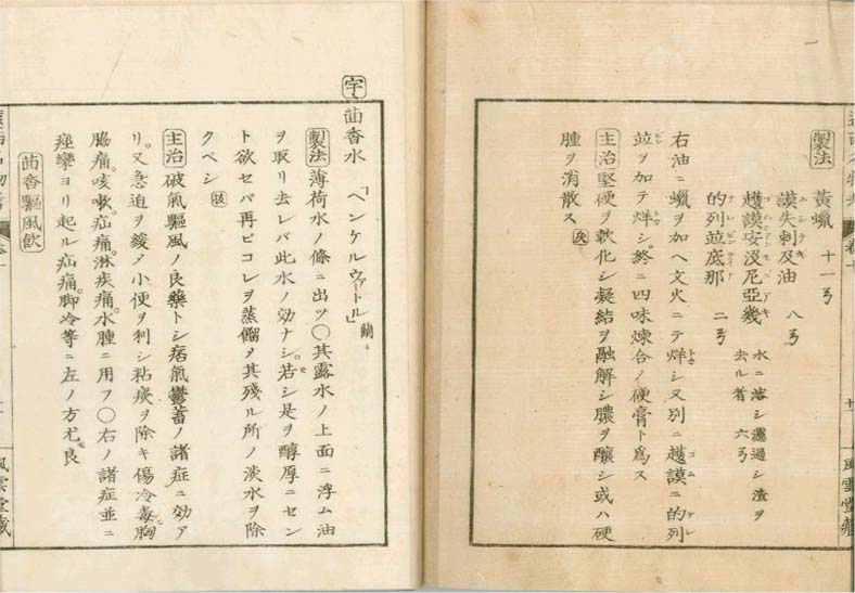 ensei iho meibutsuko v.10