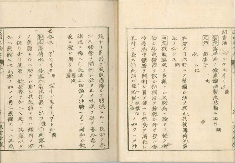 ensei iho meibutsuko v.10