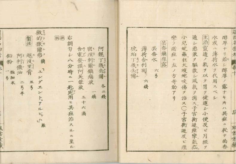 ensei iho meibutsuko v.10