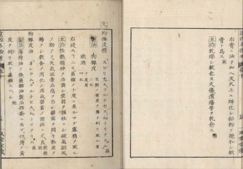 ensei iho meibutsuko v.10
