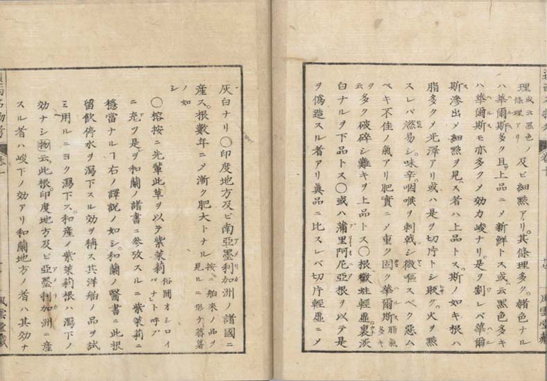 ensei iho meibutsuko v.10