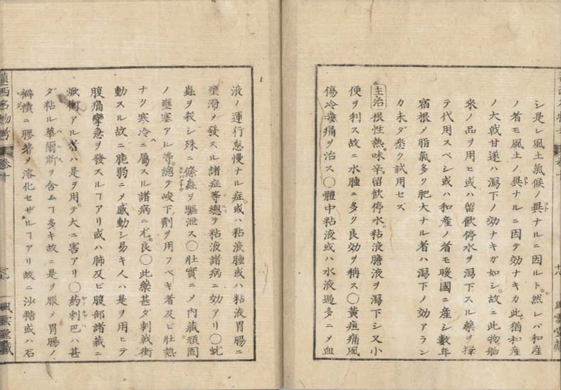 ensei iho meibutsuko v.10