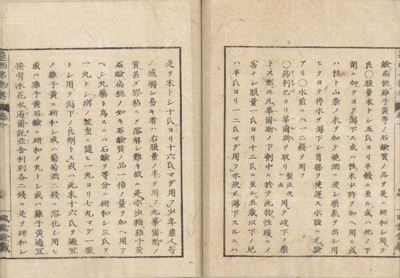 ensei iho meibutsuko v.10