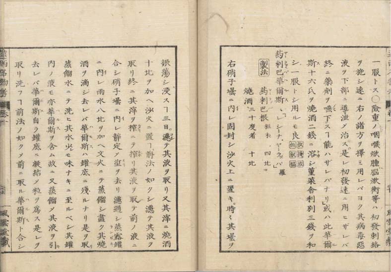 ensei iho meibutsuko v.10