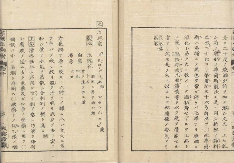 ensei iho meibutsuko v.10