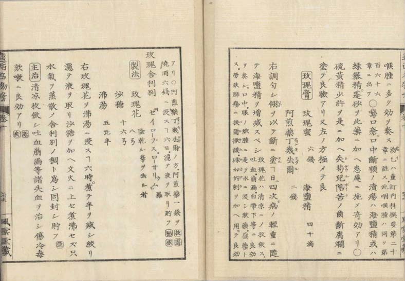 ensei iho meibutsuko v.10