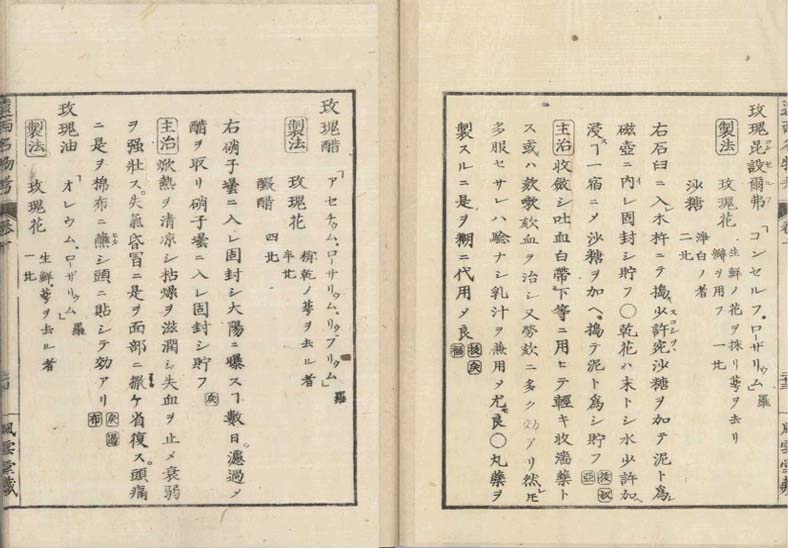 ensei iho meibutsuko v.10