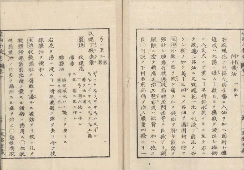 ensei iho meibutsuko v.10
