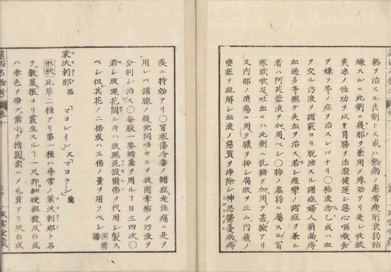 ensei iho meibutsuko v.10