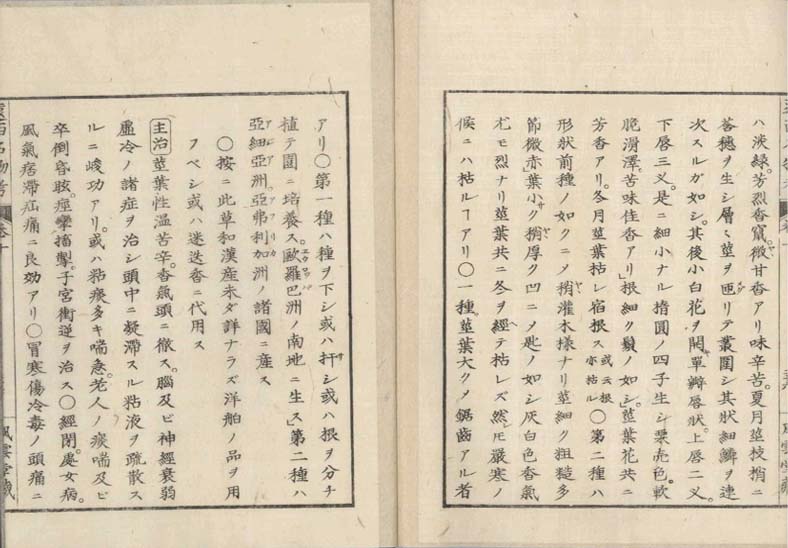 ensei iho meibutsuko v.10