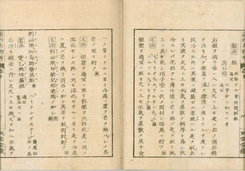 ensei iho meibutsuko v.10