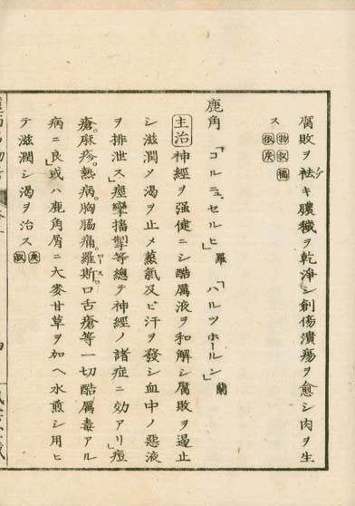 ensei iho meibutsuko v.2