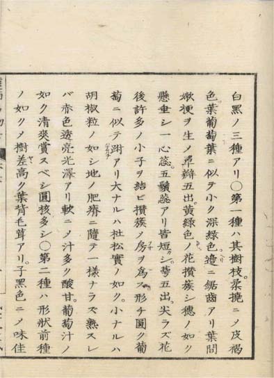 ensei iho meibutsuko v.6