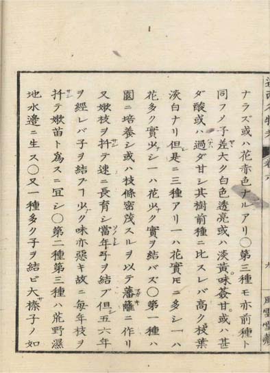 ensei iho meibutsuko v.6