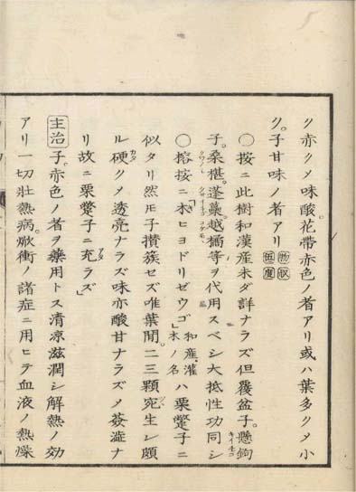 ensei iho meibutsuko v.6