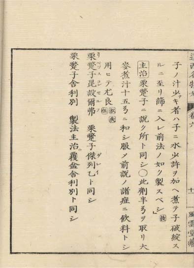 ensei iho meibutsuko v.6