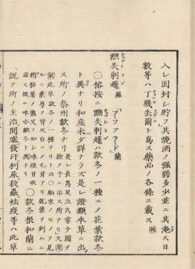 ensei iho meibutsuko v.6