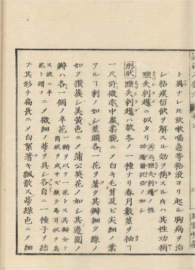 ensei iho meibutsuko v.6