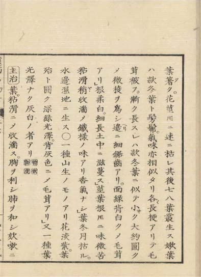 ensei iho meibutsuko v.6