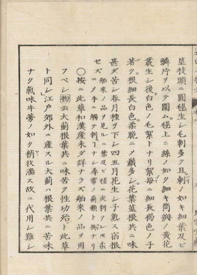 ensei iho meibutsuko v.7